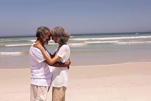 老年,夫妻,面对面,搂抱,相互,海滩