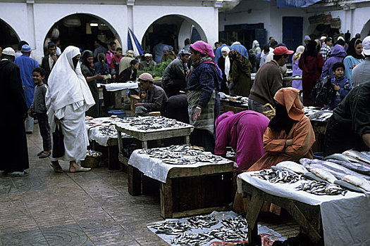 摩洛哥,苏维拉,鱼市