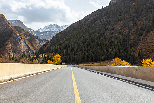 深秋,新疆独库公路库车河谷路段的弯道边长满了金色的山杨树,公路向着远处的雪山下蜿蜒而去