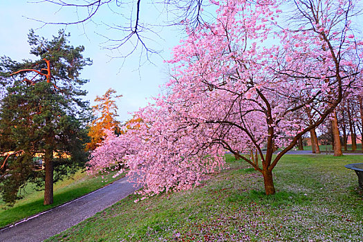 munich慕尼黑olympia,park