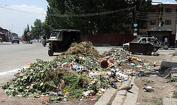 世界,环境,星期,斯利那加,城市,印度,克什米尔,垃圾,道路,六月,2008年