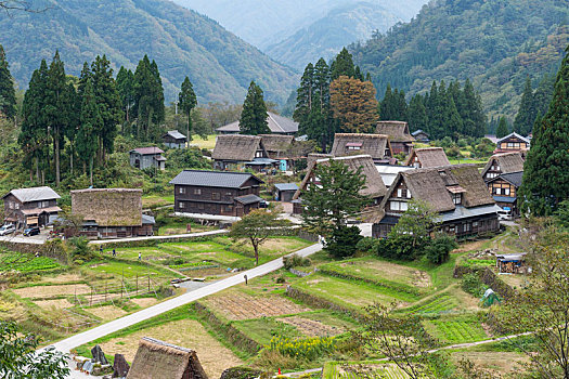 传统,乡村