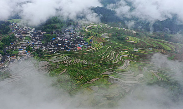 雨雾梯田