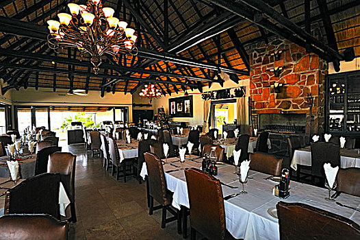 餐馆,禁猎区,纳米比亚,非洲