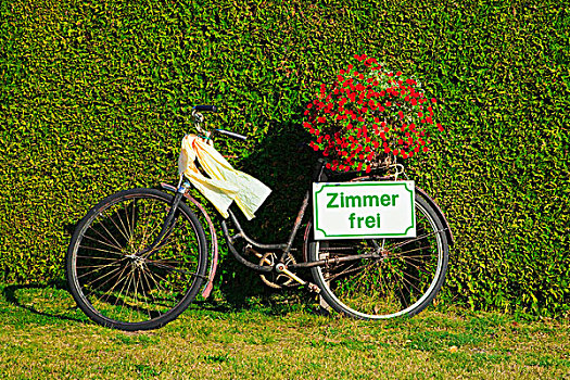 自行车,正面,绿色,树篱,红花,标识,房间
