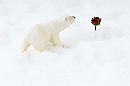 北极熊,玩具,接近,玫瑰,雪中