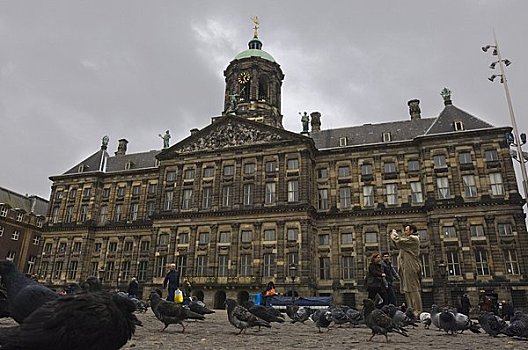 鸽子,城镇广场,阿姆斯特丹,荷兰
