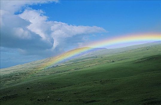 夏威夷,夏威夷大岛,柯哈拉,威美亚,满,彩虹,上方,草,山,背景