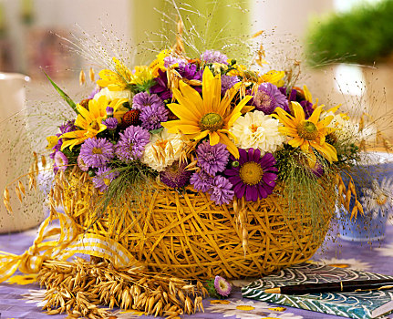 篮子,夏末,安放,紫苑属,遮阳帽