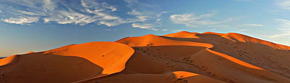 沙子,沙丘,西部,边缘,撒哈拉沙漠,沙漠,摩洛哥,非洲