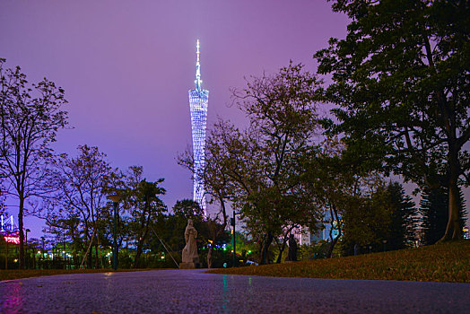 广州塔夜景