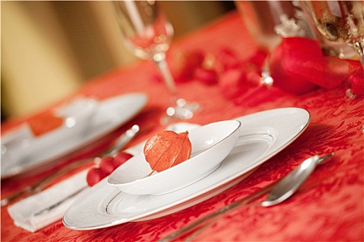优雅,圣诞桌,布置,红色,日式灯笼,花