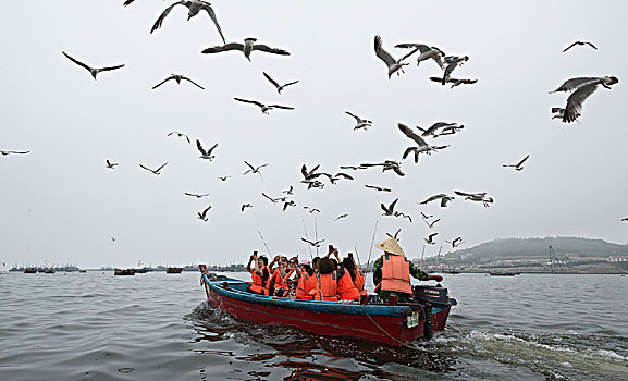 海鸥渔船
