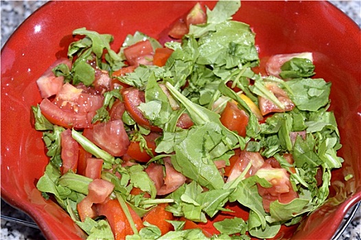 西红柿,沙拉,芝麻菜