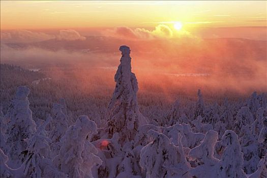 布罗肯,山,上方,冬季风景,积雪,日落,萨克森安哈尔特,德国