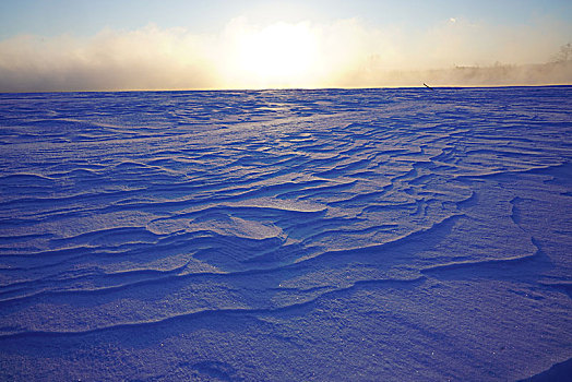 雪地