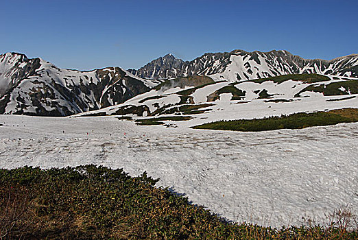 顶峰