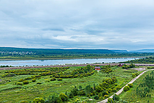 田野