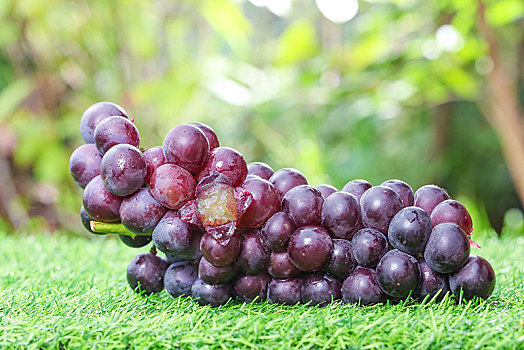草地上的新鲜葡萄