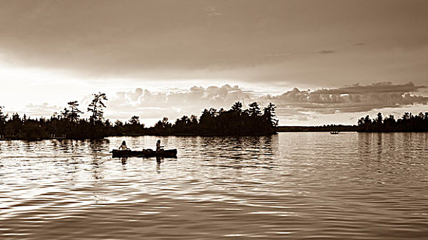 湖,木,安大略省,加拿大,伴侣,独木舟