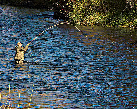 钓鱼,河,俄勒冈,美国