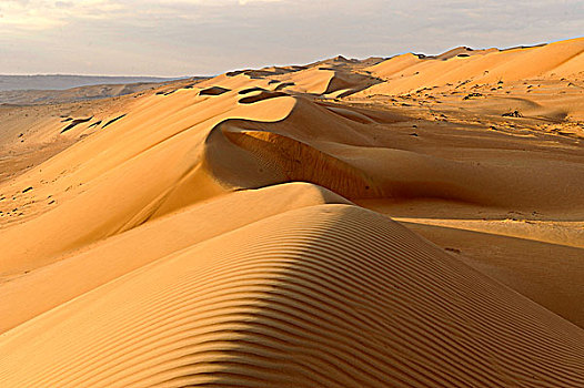 阿曼苏丹国,灰尘,瓦希伯沙漠