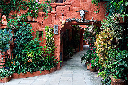 墨西哥,圣米格尔,花园,入口,家,画廊