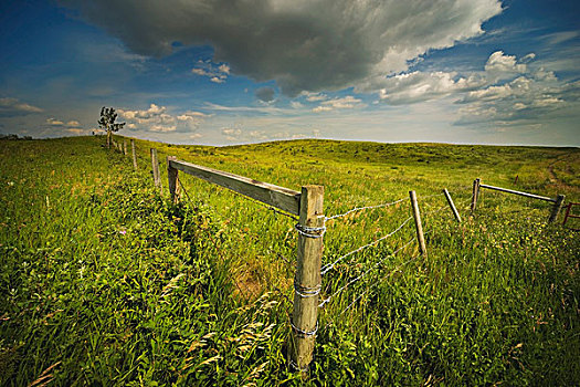 艾伯塔省,加拿大,围栏,土地