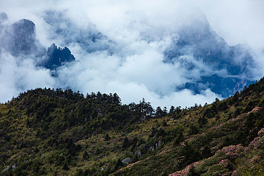 神农架,神农顶,风景,景点,旅游,高山,瀑布,河流,神秘,树木,植被,石头,鄂西,云海,峡谷,壮观