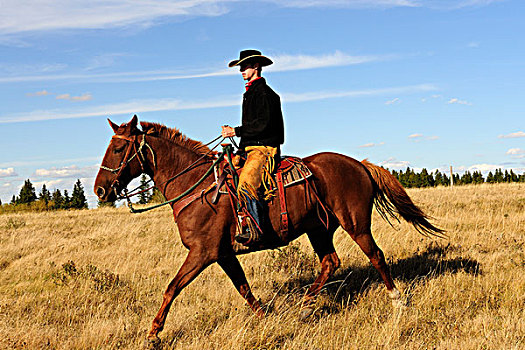 牛仔,骑,草原,萨斯喀彻温,加拿大