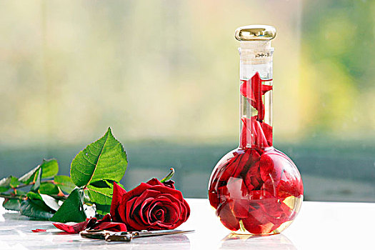 瓶装,玫瑰