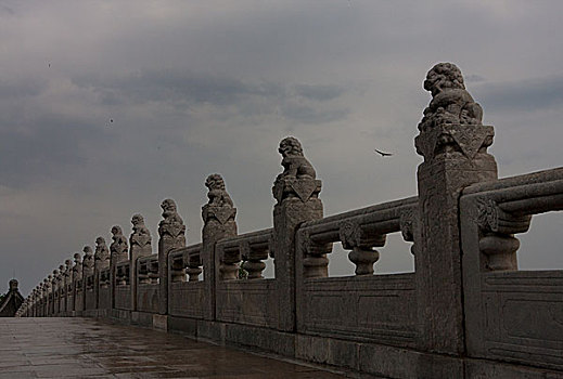 颐和园,十七孔桥,石桥,狮子,石狮,望柱
