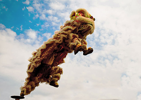 醒狮贺新年东莞端午节龙舟比赛庆典醒狮南方舞狮醒狮庆典活动金狮庆