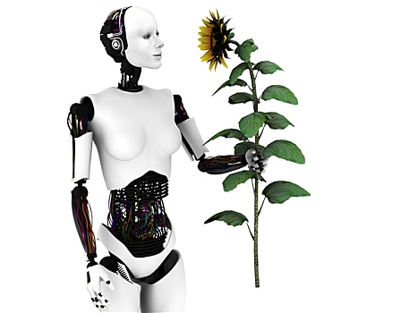 机器人,女人,拿着,向日葵