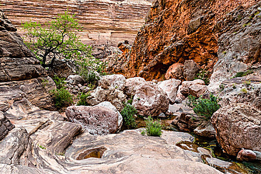 岩石构造,清晰,溪流,大峡谷,亚利桑那,美国