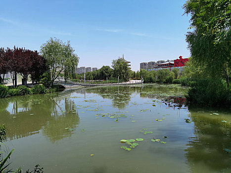 西安世园会湖泊全景