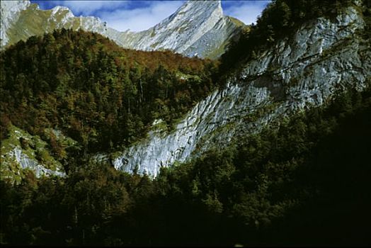 风景,秋天,山丘