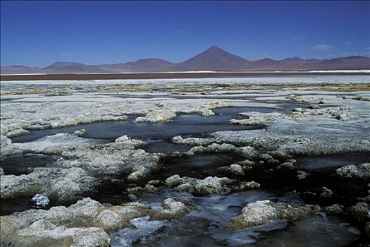 玻利维亚,南,泻湖