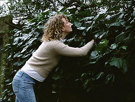 女人,接触,植物