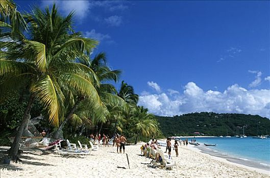 棕榈树,海滩,白色,湾,岛屿,英属维京群岛,加勒比海