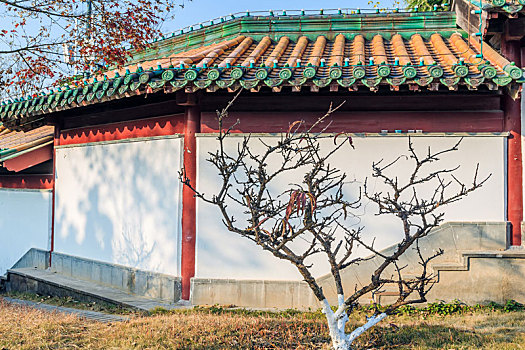 琉璃瓦白墙园林建筑,南京市阅江楼景区