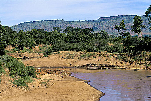 肯尼亚,马赛马拉,马拉河