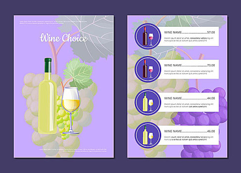 葡萄酒,选择,菜单,矢量,插画,瓶子,葡萄,象征,信息,价格,隔绝,紫色