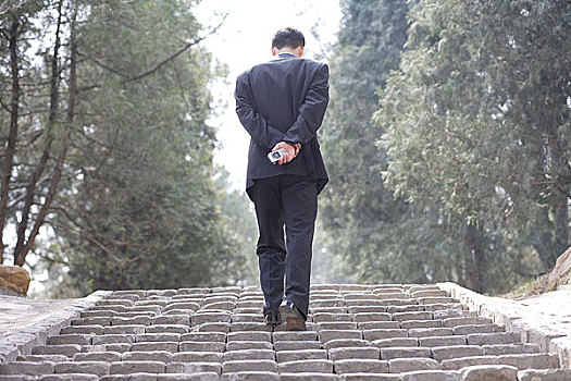 男人西装背影图片