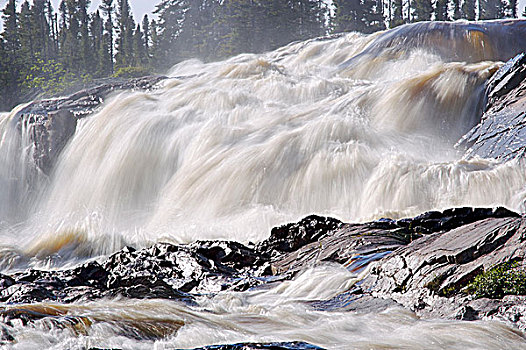 河,瀑布,靠近,住宿,南方,拉布拉多犬,纽芬兰,加拿大