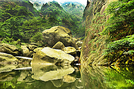 青山绿水