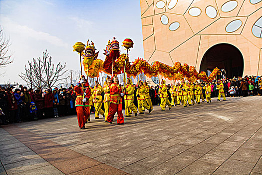 春节民俗舞龙