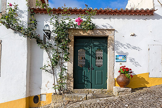 藤蔓玫瑰,门,奥比都斯,地区,葡萄牙,欧洲