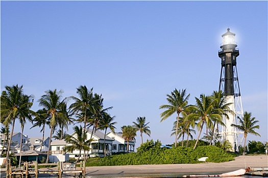 佛罗里达,海滩,灯塔,棕榈树