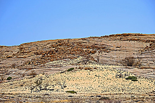 大,独块巨石,石头,侵蚀,花冈岩,球,沙子,植被,区域,纳米比亚,达马拉兰